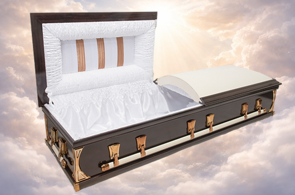 Mini Half View Leather Dome