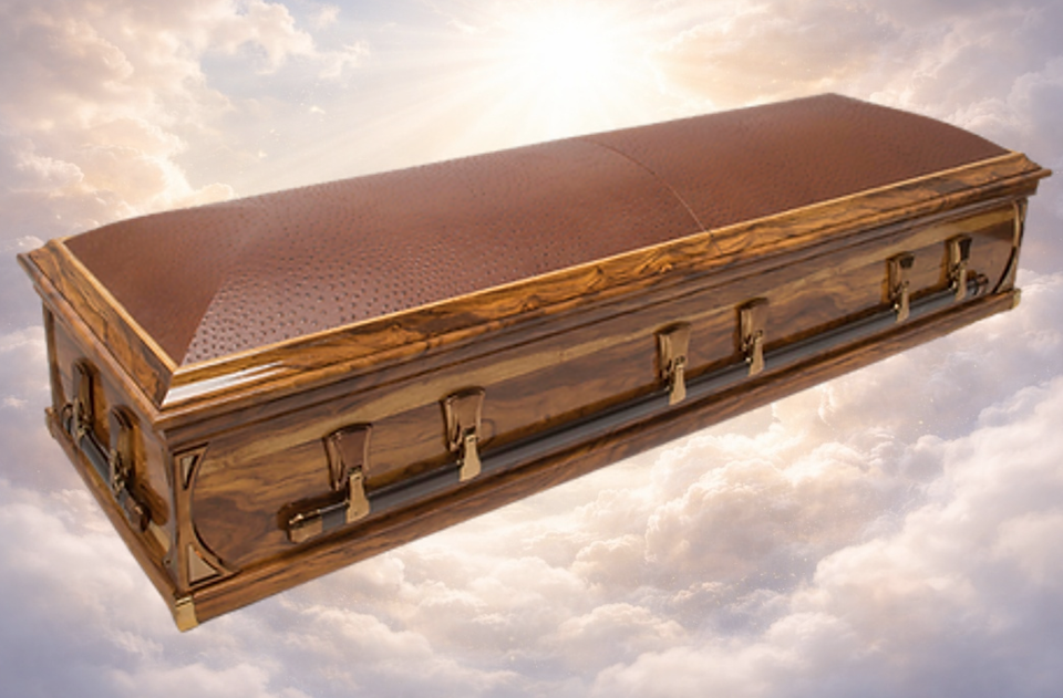 Mini Half View Leather Dome