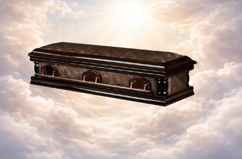 Half & Full View Leather Dome Casket