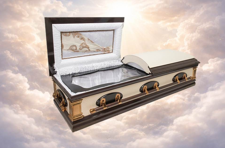 Half & Full View Leather Dome Casket